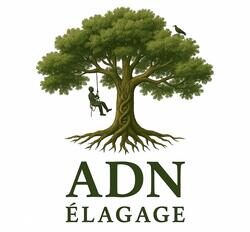 ADN élagage